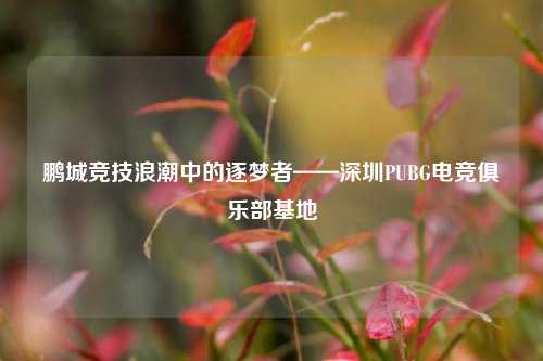 鹏城竞技浪潮中的逐梦者——深圳PUBG电竞俱乐部基地