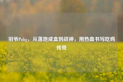 羽爷Pubg,从落地成盒到战神,用热 *** 写吃鸡传奇