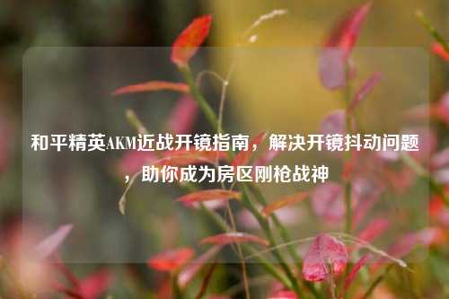 和平精英AKM近战开镜指南，解决开镜抖动问题，助你成为房区刚枪战神