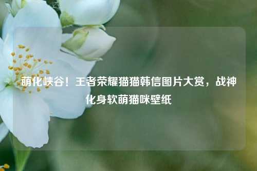 萌化峡谷!王者荣耀猫猫韩信图片大赏,战神化身软萌猫咪壁纸