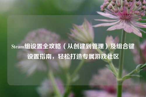 Steam组设置全攻略(从创建到管理)及组合键设置指南,轻松打造专属游戏社区