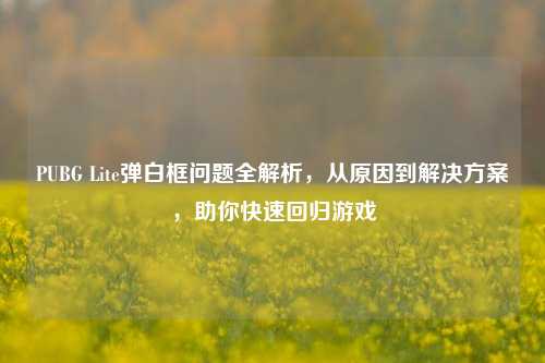 PUBG Lite弹白框问题全解析,从原因到解决方案,助你快速回归游戏