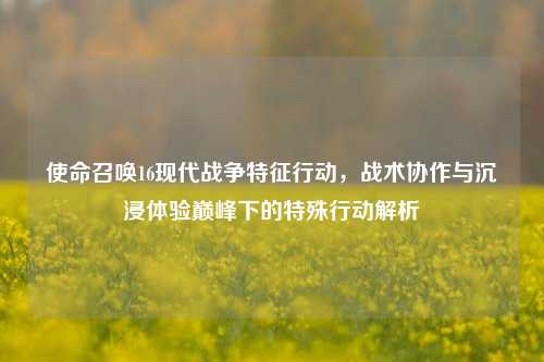 使命召唤16现代战争特征行动,战术协作与沉浸体验巅峰下的特殊行动解析