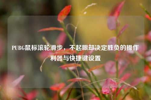 PUBG鼠标滚轮滑步，不起眼却决定胜负的操作利器与快捷键设置