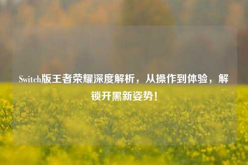 Switch版王者荣耀深度解析,从操作到体验,解锁开黑新姿势!