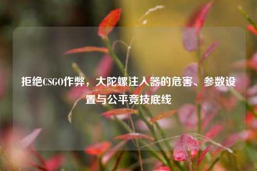 拒绝CSGO作弊,大陀螺注入器的危害、参数设置与公平竞技底线