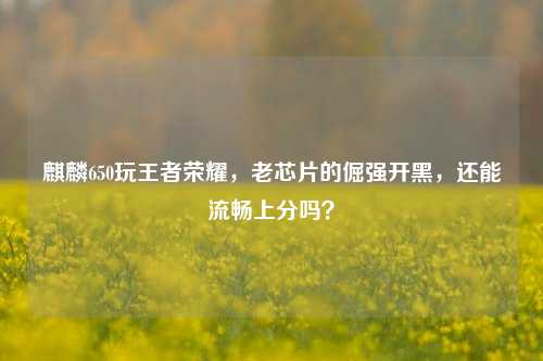 麒麟650玩王者荣耀,老芯片的倔强开黑,还能流畅上分吗?