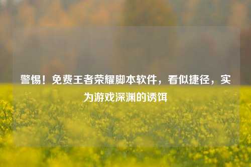 警惕!免费王者荣耀脚本软件,看似捷径,实为游戏深渊的诱饵