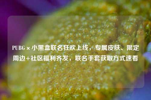 PUBG×小黑盒联名狂欢上线,专属皮肤、限定周边+社区福利齐发,联名手套获取方式速看