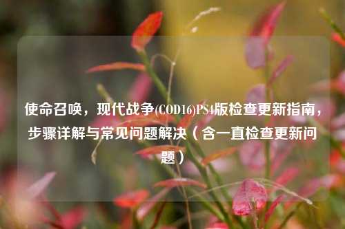 使命召唤,现代战争(COD16)PS4版检查更新指南,步骤详解与常见问题解决(含一直检查更新问题)