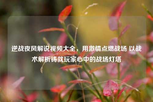 逆战夜风解说视频大全，用激情点燃战场 以战术解析铸就玩家心中的战场灯塔