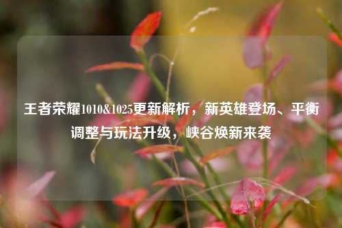 王者荣耀1010&1025更新解析,新英雄登场、平衡调整与玩法升级,峡谷焕新来袭
