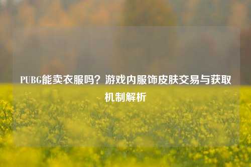 PUBG能卖衣服吗？游戏内服饰皮肤交易与获取机制解析