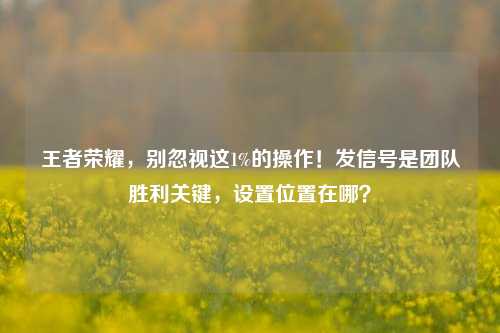 王者荣耀,别忽视这1%的操作!发信号是团队胜利关键,设置位置在哪?