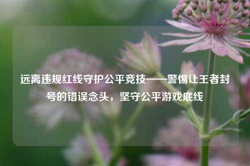 远离违规红线守护公平竞技——警惕让王者封号的错误念头，坚守公平游戏底线
