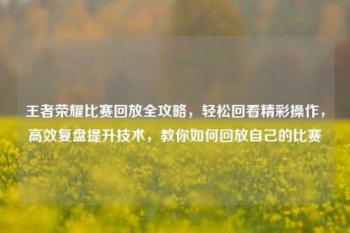 王者荣耀比赛回放全攻略,轻松回看精彩操作,高效复盘提升技术,教你如何回放自己的比赛