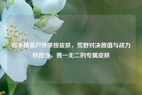 和平精英户外单挑皮肤，荒野对决颜值与战力双担当，独一无二的专属皮肤