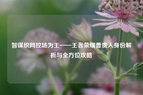 智谋织网控场为王——王者荣耀曹贵人身份解析与全方位攻略