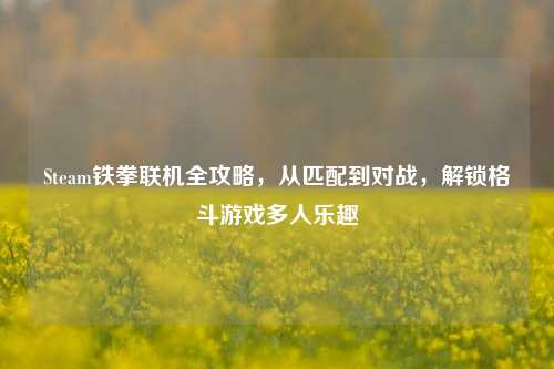 Steam铁拳联机全攻略,从匹配到对战,解锁格斗游戏多人乐趣