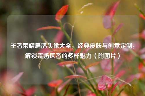 王者荣耀扁鹊头像大全,经典皮肤与创意定制,解锁毒奶医者的多样魅力(附图片)