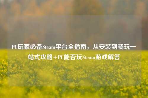 PC玩家必备Steam平台全指南，从安装到畅玩一站式攻略+PC能否玩Steam游戏解答