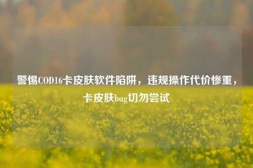 警惕COD16卡皮肤软件陷阱,违规操作代价惨重,卡皮肤bug切勿尝试