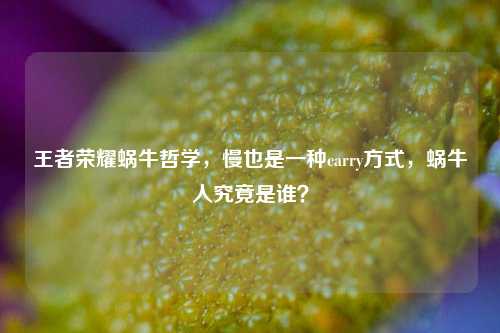 王者荣耀蜗牛哲学，慢也是一种carry方式，蜗牛人究竟是谁？