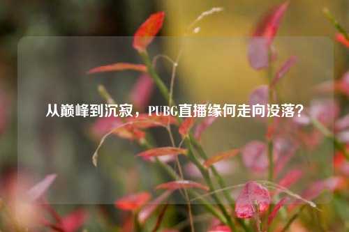 从巅峰到沉寂，PUBG直播缘何走向没落？