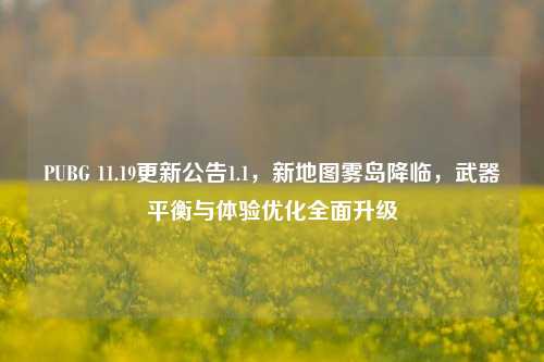 PUBG 11.19更新公告1.1,新地图雾岛降临,武器平衡与体验优化全面升级