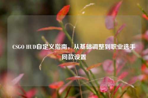 CSGO HUD自定义指南，从基础调整到职业选手同款设置