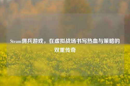 Steam佣兵游戏,在虚拟战场书写热血与策略的双重传奇