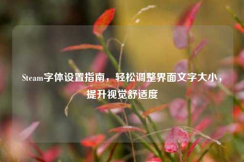 Steam字体设置指南,轻松调整界面文字大小,提升视觉舒适度