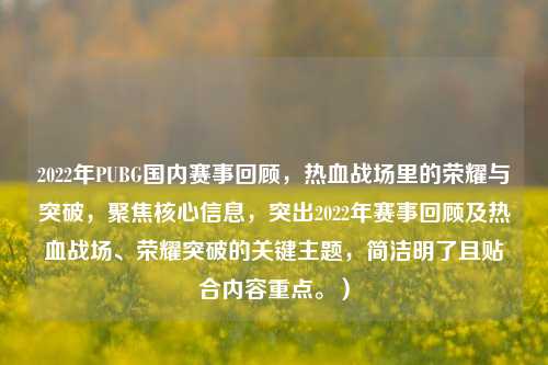 2022年PUBG国内赛事回顾,热血战场里的荣耀与突破,聚焦核心信息,突出2022年赛事回顾及热血战场、荣耀突破的关键主题,简洁明了且贴合内容重点。)