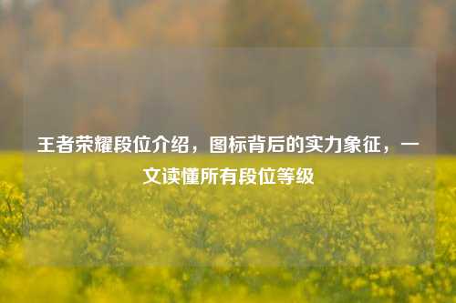 王者荣耀段位介绍,图标背后的实力象征,一文读懂所有段位等级