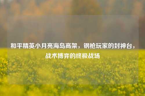 和平精英小月亮海岛高架,钢枪玩家的封神台,战术博弈的终极战场