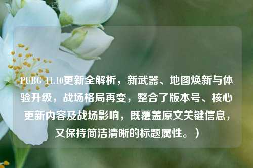 PUBG 11.10更新全解析,新武器、地图焕新与体验升级,战场格局再变,整合了版本号、核心更新内容及战场影响,既覆盖原文关键信息,又保持简洁清晰的标题属性。)